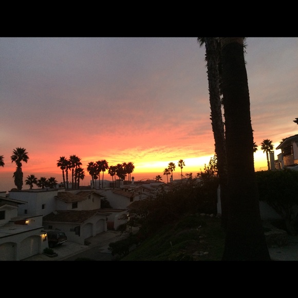 Meet your Posher, Arlene - Picture 3 of 5